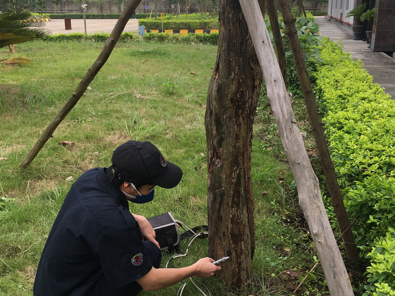 �׽̰��Ϸ���